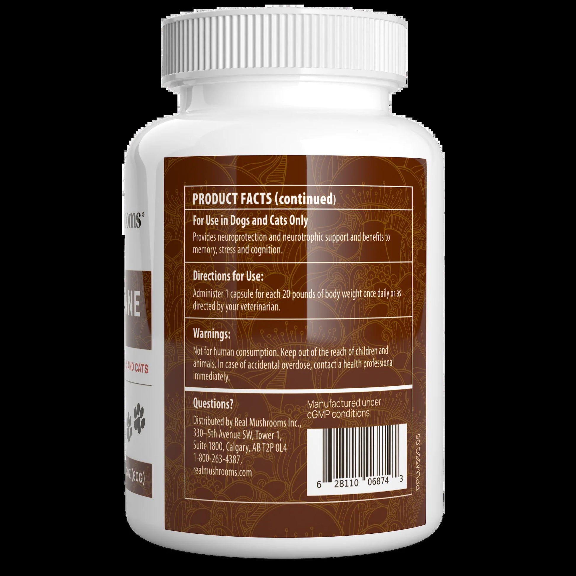 Organic Lions Mane Extract Capsules for Pets