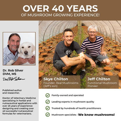Organic Lions Mane Extract Capsules for Pets