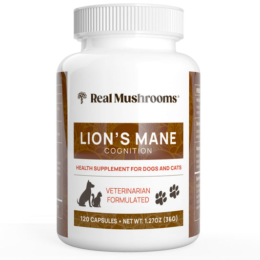 Organic Lions Mane Extract Capsules for Pets