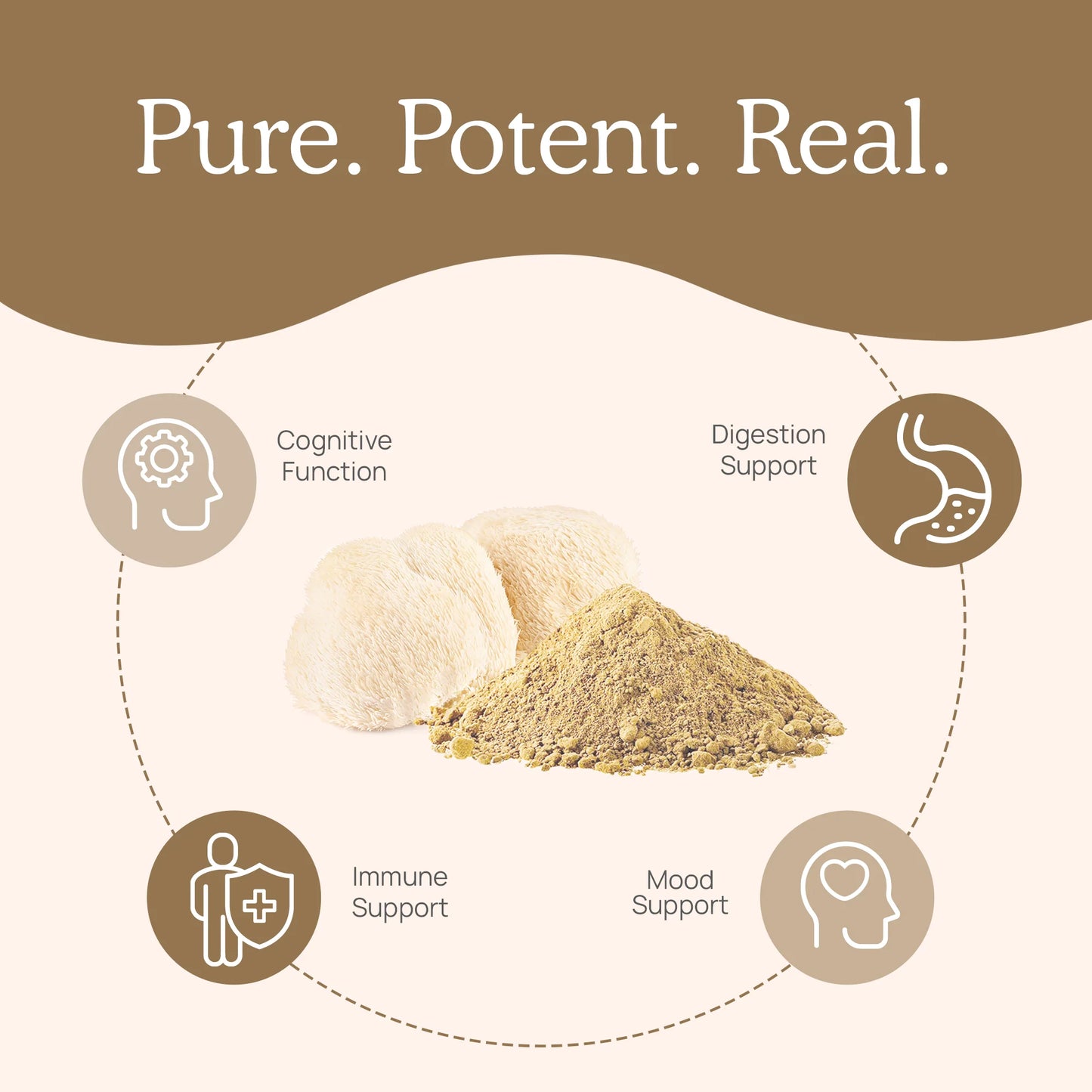 Organic Lions Mane Extract Capsules for Pets